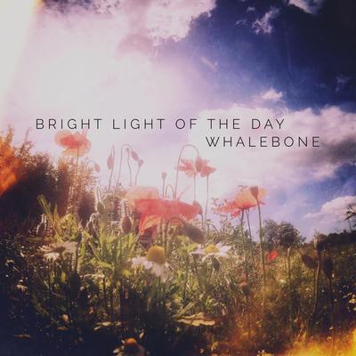 Bright Light of the Day By Whalebone's cover