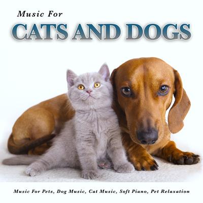 Sleeping Music For Dogs By Cat Music, Dog Music, Music For Cats and Dogs's cover