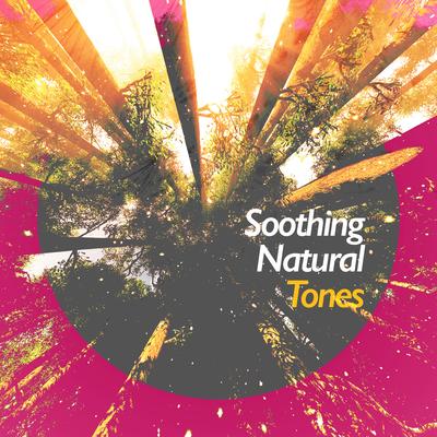 Soothing Natural Tones's cover