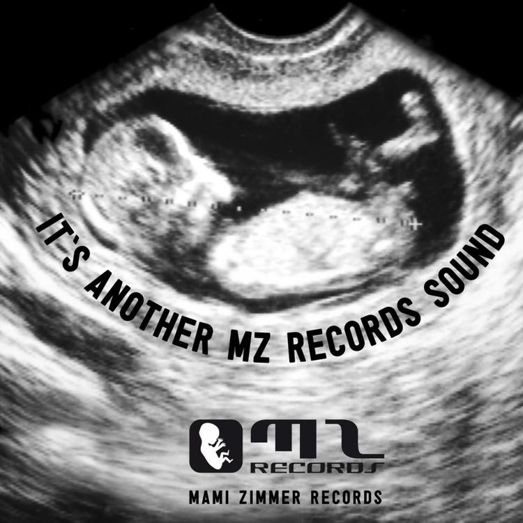 MZ-Records's avatar image