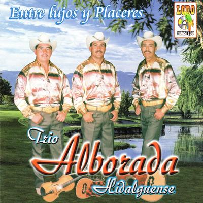 Entre Lujos y Placeres's cover