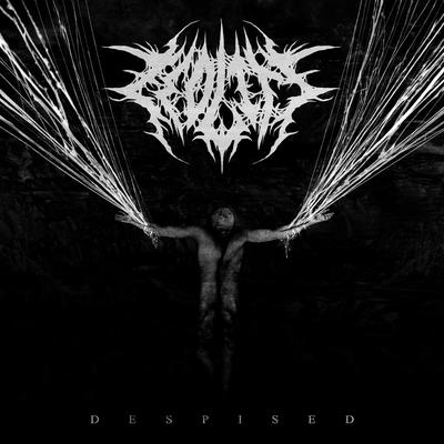 Despised By Zeolite's cover