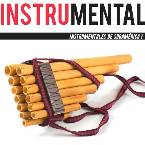 Musicas instrumentais 's cover
