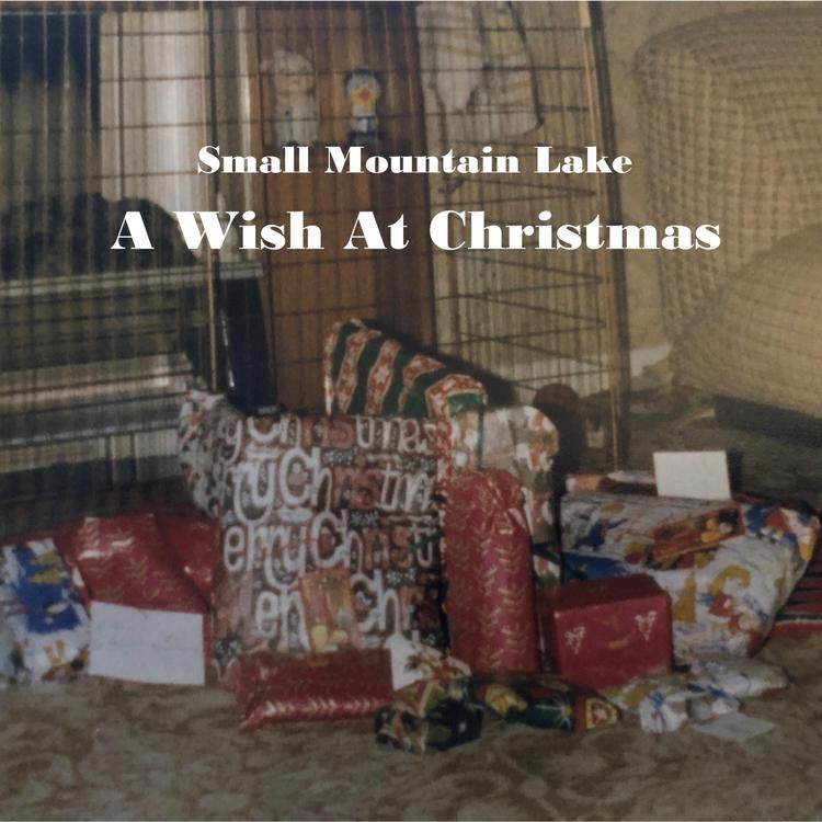 Small Mountain Lake's avatar image