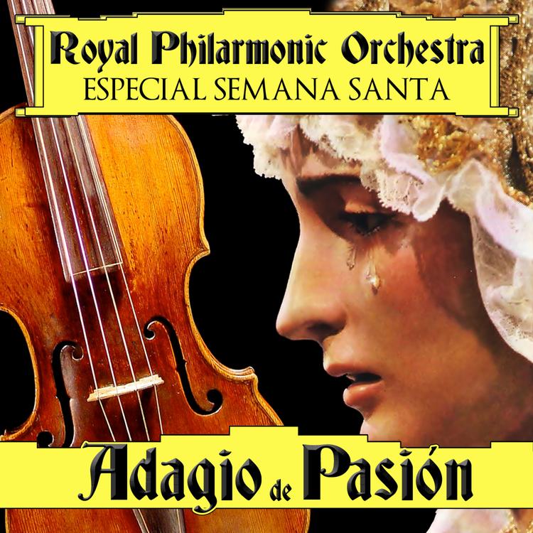 Royal Philarmonic Orchestra's avatar image