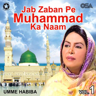 Umme Habiba's cover