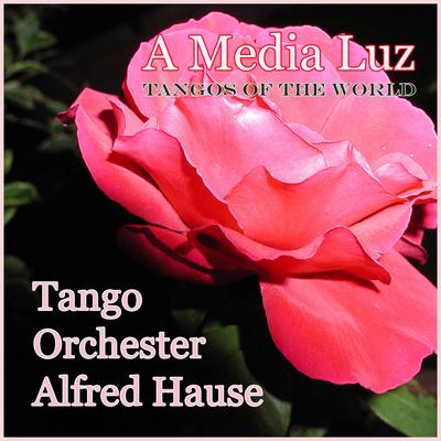 Hernando's Hideaway (Tango) By Tango Orchester Alfred Hause's cover