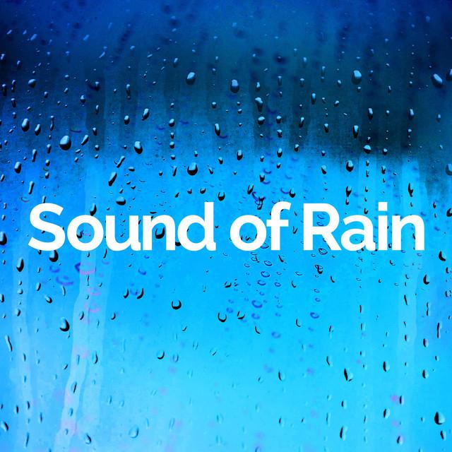 Sound of Rain's avatar image
