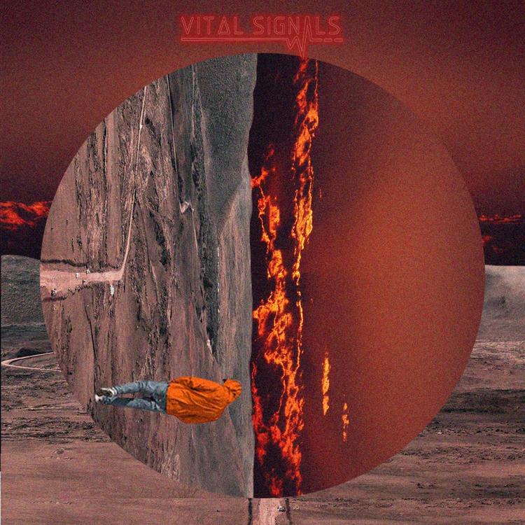 Vital Signals's avatar image