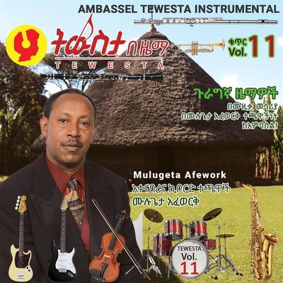 Mulugeta Afework's cover