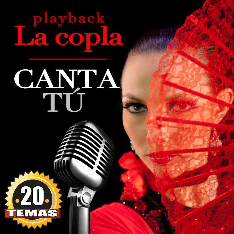 Karaoke & Playback Pantoja Studio's avatar image