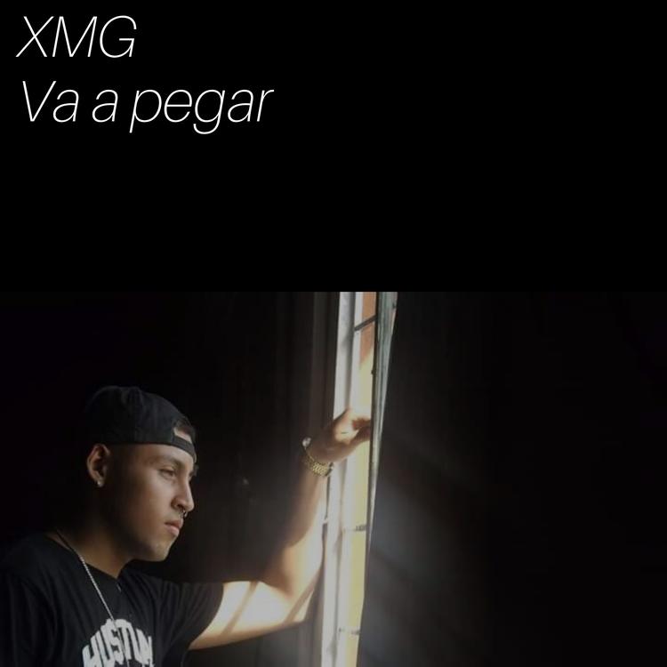 XMG's avatar image