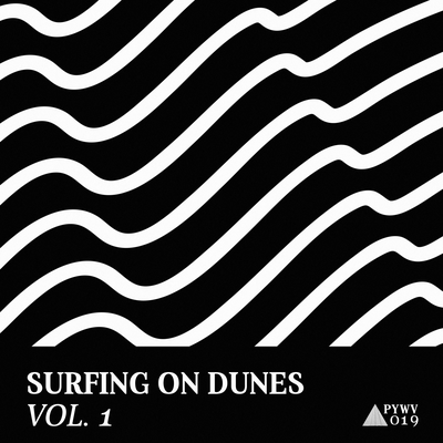Surfing on Dunes, Vol. 1's cover