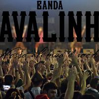 Banda Cavalinho's avatar cover