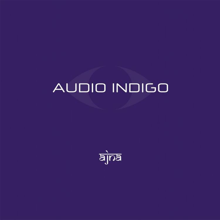 Audio Indigo's avatar image