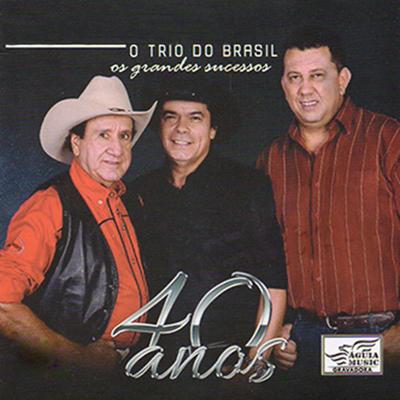Blusa Vermelha By O Trio do Brasil's cover