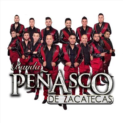 Mi Orgullo Zacatecas's cover