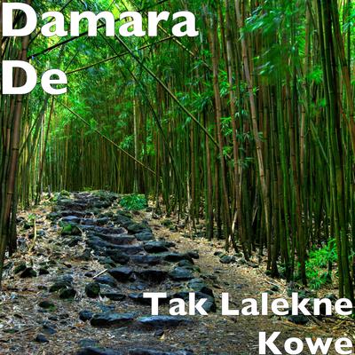 Tak Lalekne Kowe By Damara De's cover