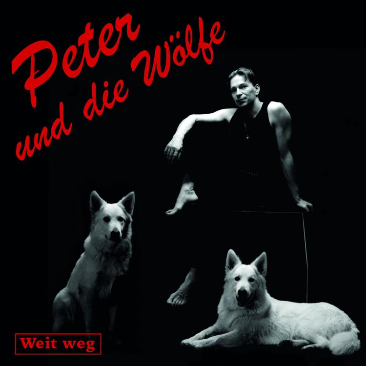 Peter und die Wölfe's avatar image