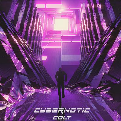 Cybernotic's cover