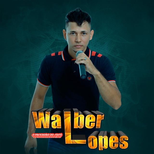 Walber Lopes's avatar image