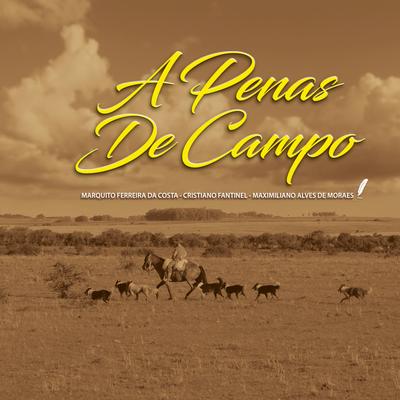De Campo e Pecuária By Cristiano Fantinel, Juliano Moreno's cover