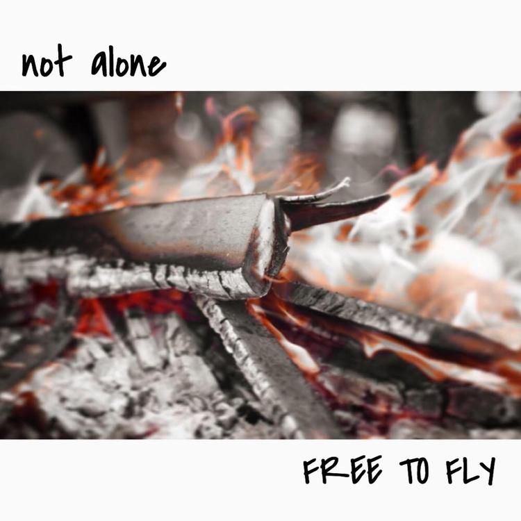 Free to Fly's avatar image