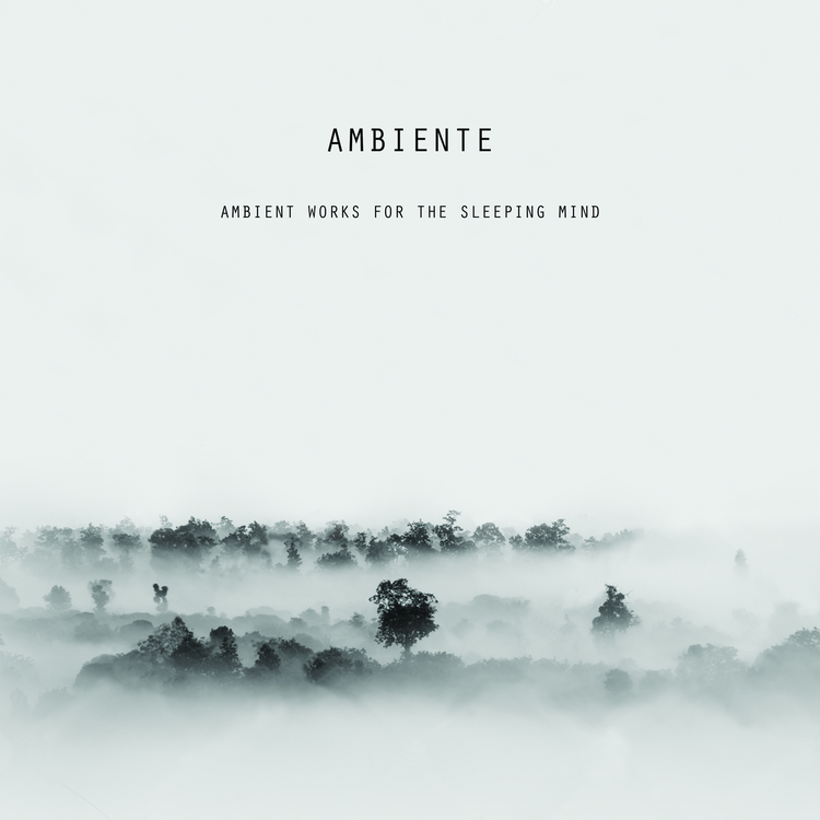 Ambiente's avatar image