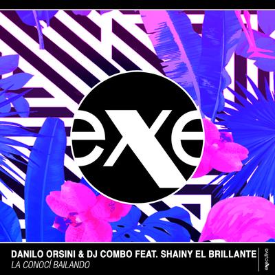 La Conocí Bailando (Stephan F Remix) By Danilo Orsini, DJ Combo, Shainy El Brillante, Stephan F's cover