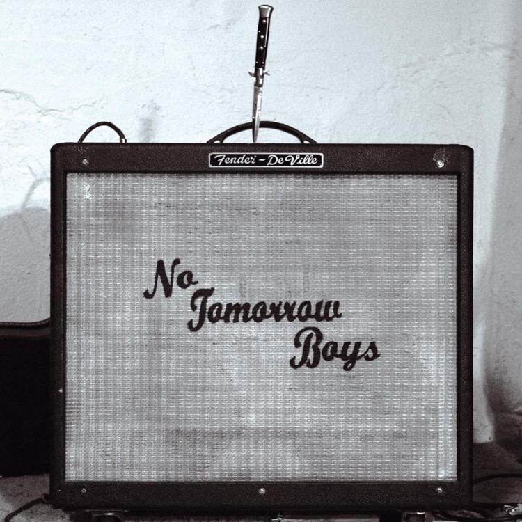 The No Tomorrow Boys's avatar image