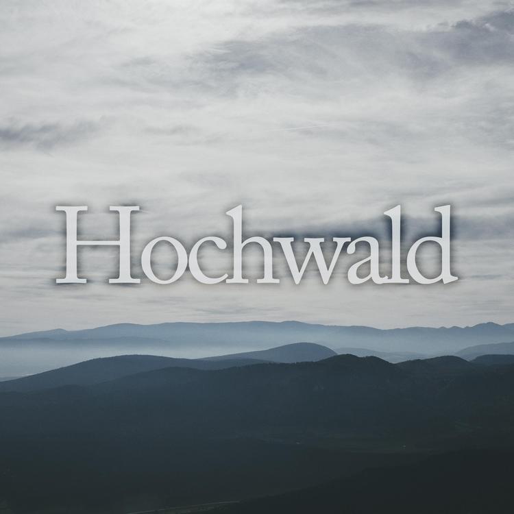 Hochwald's avatar image