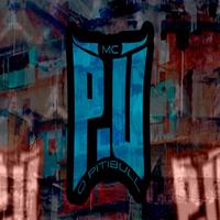 MC P.U's avatar cover
