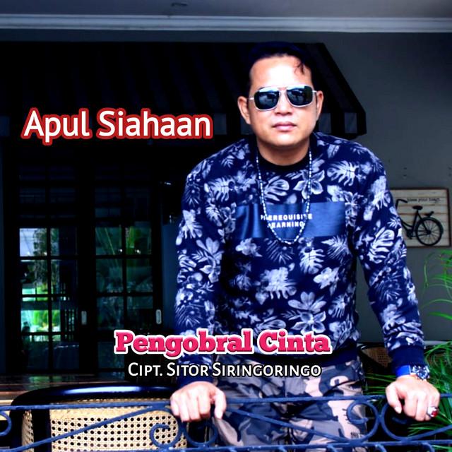 APUL SIAHAAN's avatar image