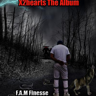 F.A.M Finesse's cover