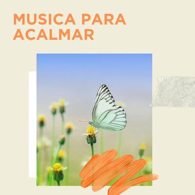 Musica Para Acalmar By Musica Para Acalmar, Música Para Acalmar Bebê, Musicas Relaxantes 8D's cover