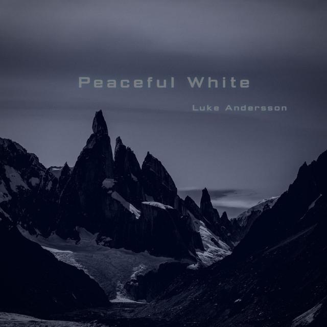 Luke Andersson's avatar image