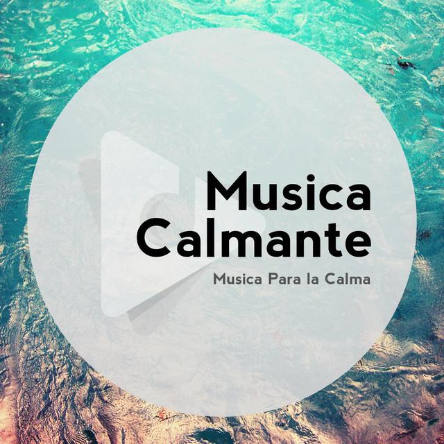 Música Calmante's avatar image