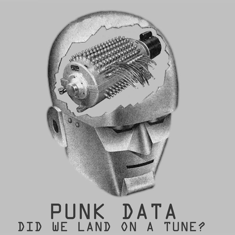 Punk Data's avatar image