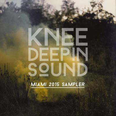 Knee Deep in Sound: Miami 2015 Sampler's cover