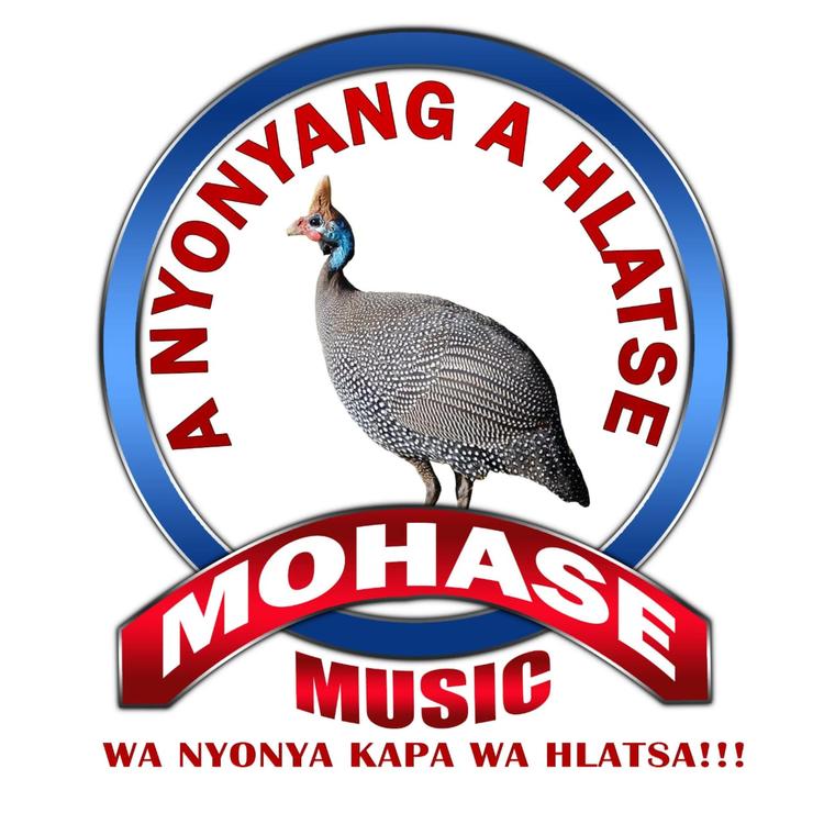 Mohase's avatar image