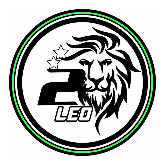 2LEO's avatar image