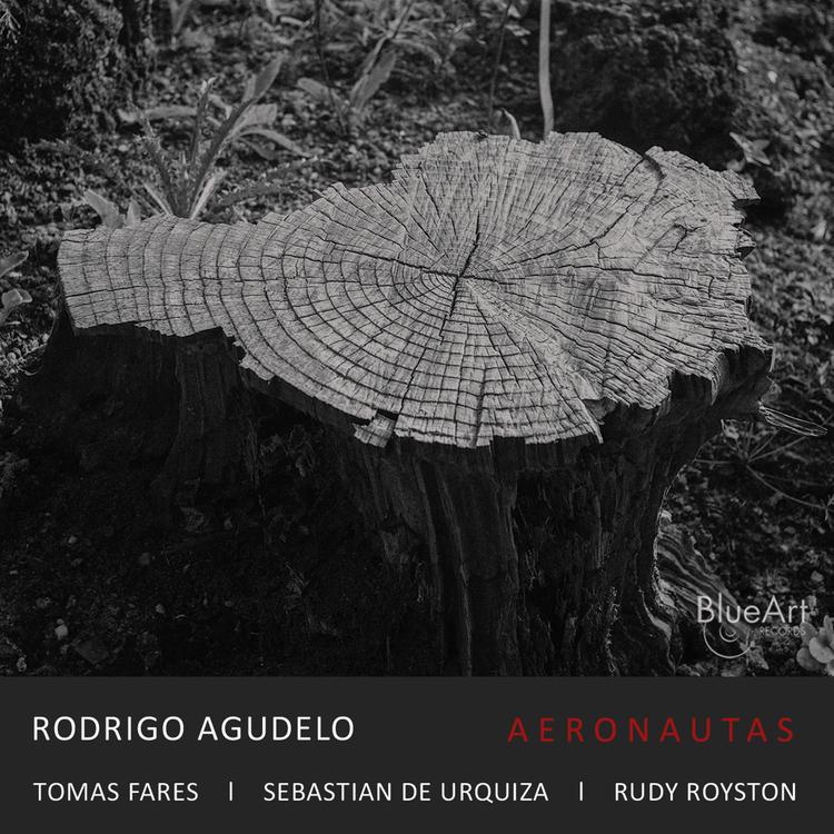 Rodrigo Agudelo's avatar image