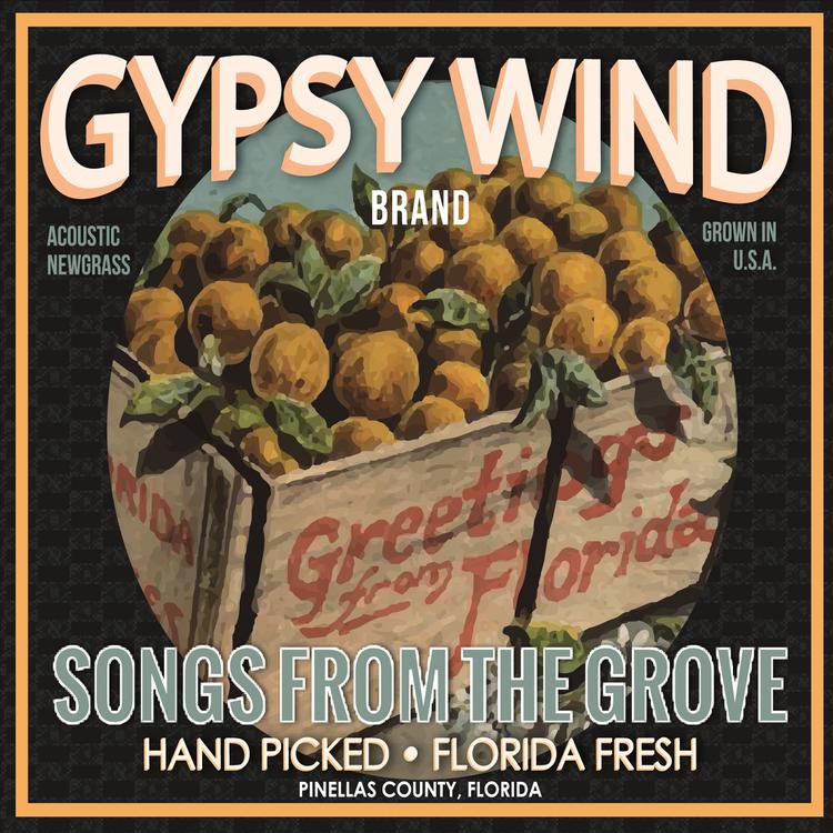 Gypsy Wind's avatar image