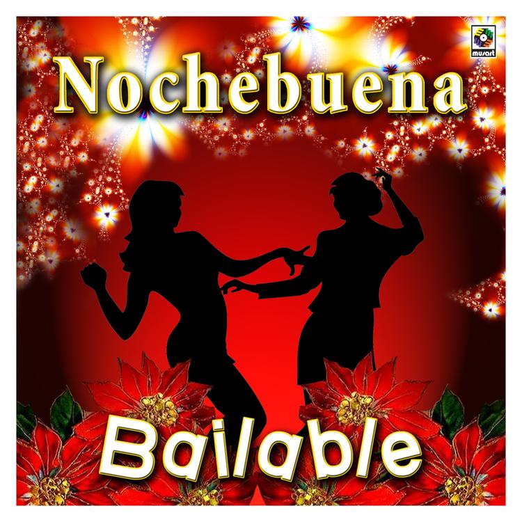 Nochebuena Bailable's avatar image