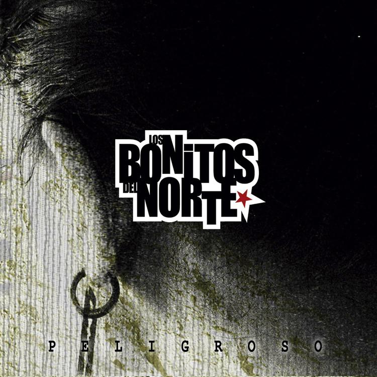 Los Bonitos del Norte's avatar image