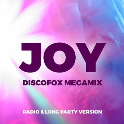 Discofox Megamix (Long Party Version) By Joy's cover