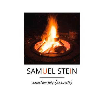 Samuel Stein's cover