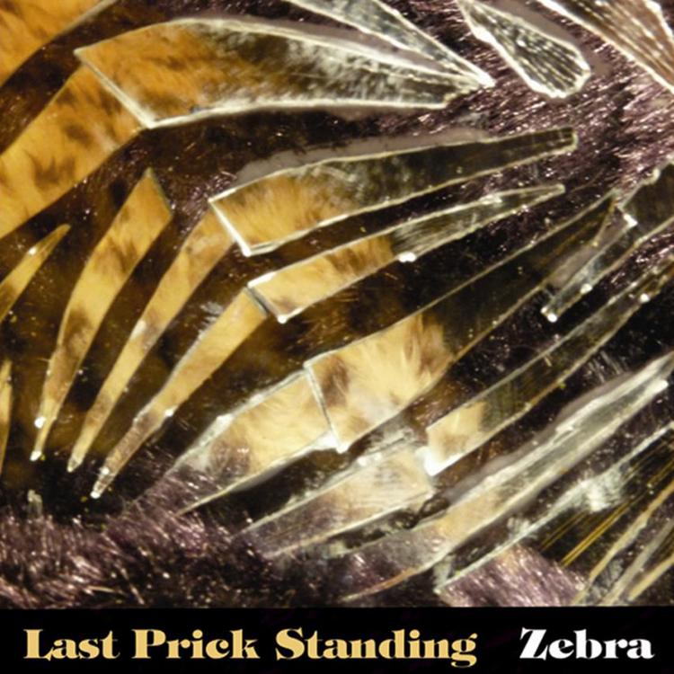 Last Prick Standing's avatar image