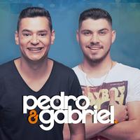 Pedro e Gabriel's avatar cover