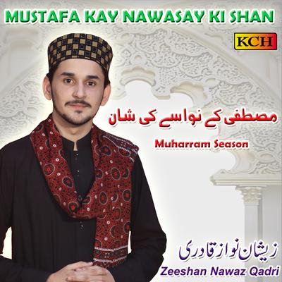 Zeeshan Nawaz Qadri's cover